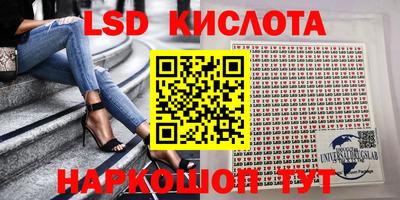 ПСИЛОЦИБИНОВЫЕ ГРИБЫ Заводоуковск