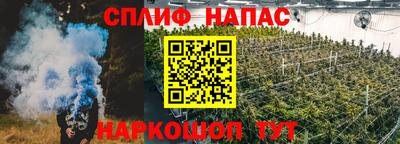 ПСИЛОЦИБИНОВЫЕ ГРИБЫ Заводоуковск