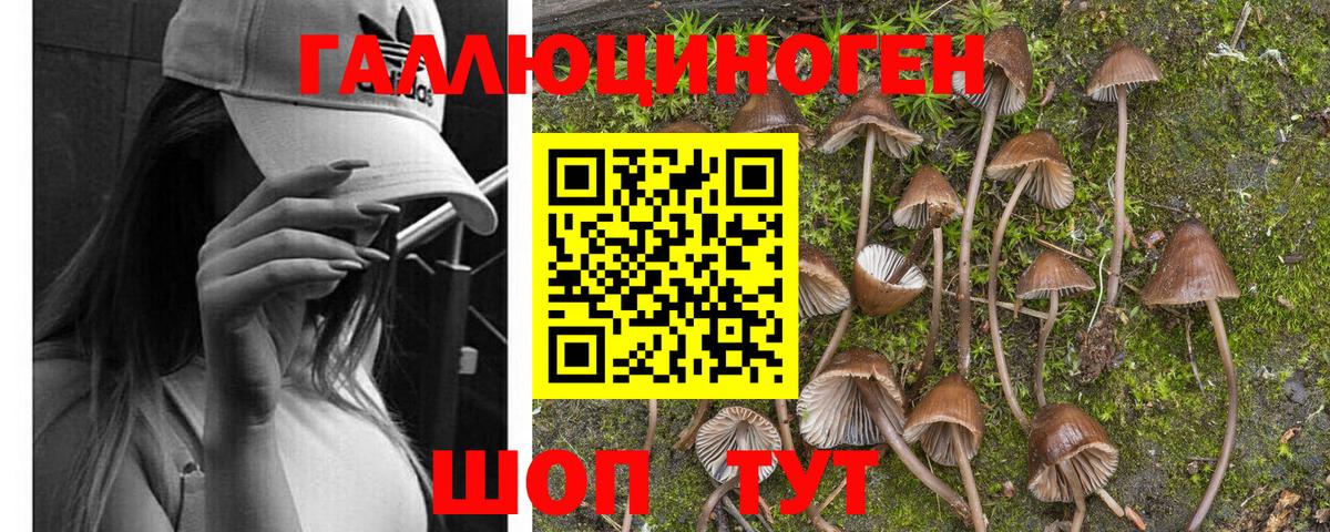 Галлюциногенные грибы мухоморы  Псилоцибиновые грибы MAGIC MUSHROOMS  Курчалой  Вход с VPN 